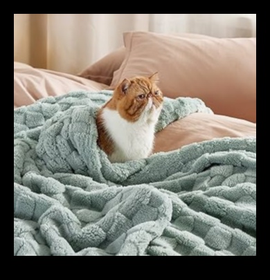 Jauki pārvalki: stilīgas segas mājīgiem mirkļiem