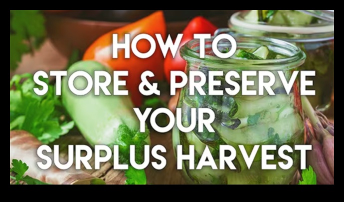 Garden Bounty Kā iegūt svaiguma būtību savās dārzeņu sulās 3 Garden Bounty: tveriet svaiguma būtību jūsu dārzeņu sulās