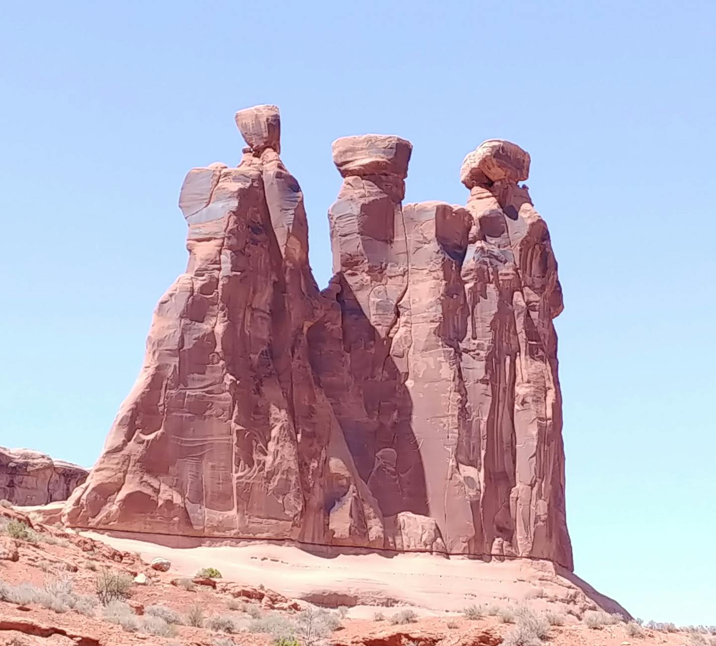 Zieda tetovējums reālistiskā stilā.