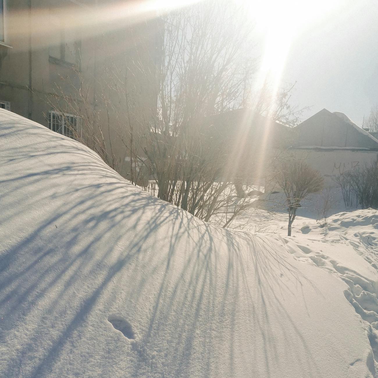 Pūķa tetovējums reālistiskā stilā.