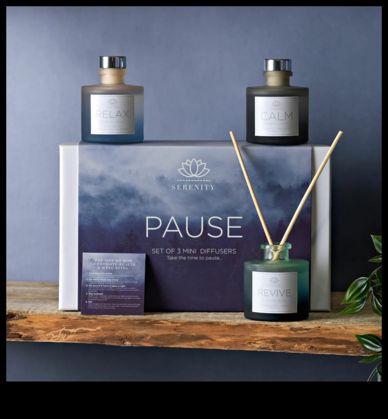 Aromāts Serenity Atrodi savu ideālo smaržu komplektu 5 Aromāts Serenity: smaržu komplekti smaržu mīļotājiem