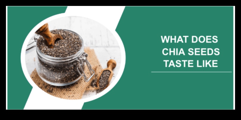 Chia Creations brīnišķīgs prieks jūsu garšas kārpiņām 1 Chia Creations: garšu sajaukšana un saskaņošana neatvairāmu sēklu dzērieniem