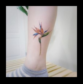 Ziedu uzplaukums Skaistu tetovējumu dizains 1 Ziedu uzplaukums: ziedoši tetovējumu modeļi, ko izrotāt